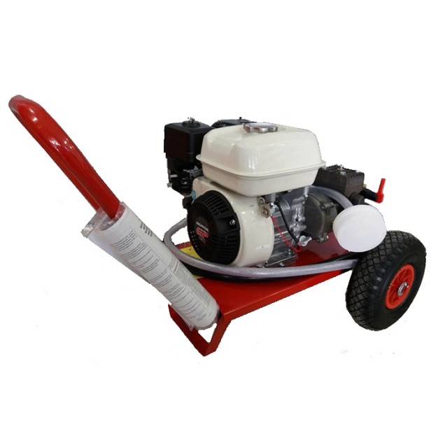 Ψεκαστικό Βενζίνης DAL DEGAN DL218 HONDA GP160 5.5HP Τετράχρονo KIDO-
16/137