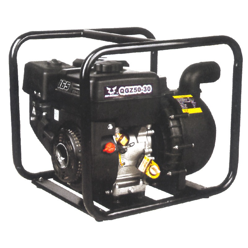 ΒΕΝΖΙΝOΑΝΤΛΙΑ 51003+67020+65000+ ASSY-ENGINEPUMP BAZMOTOR-65020-4