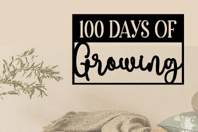 Σετ των 2 Intra απο ξύλο plywood 3mm-4mm πάχος Ημέρες Ανάπτυξης  Δίασταση 40x40 cm INTRAFABR-88460641