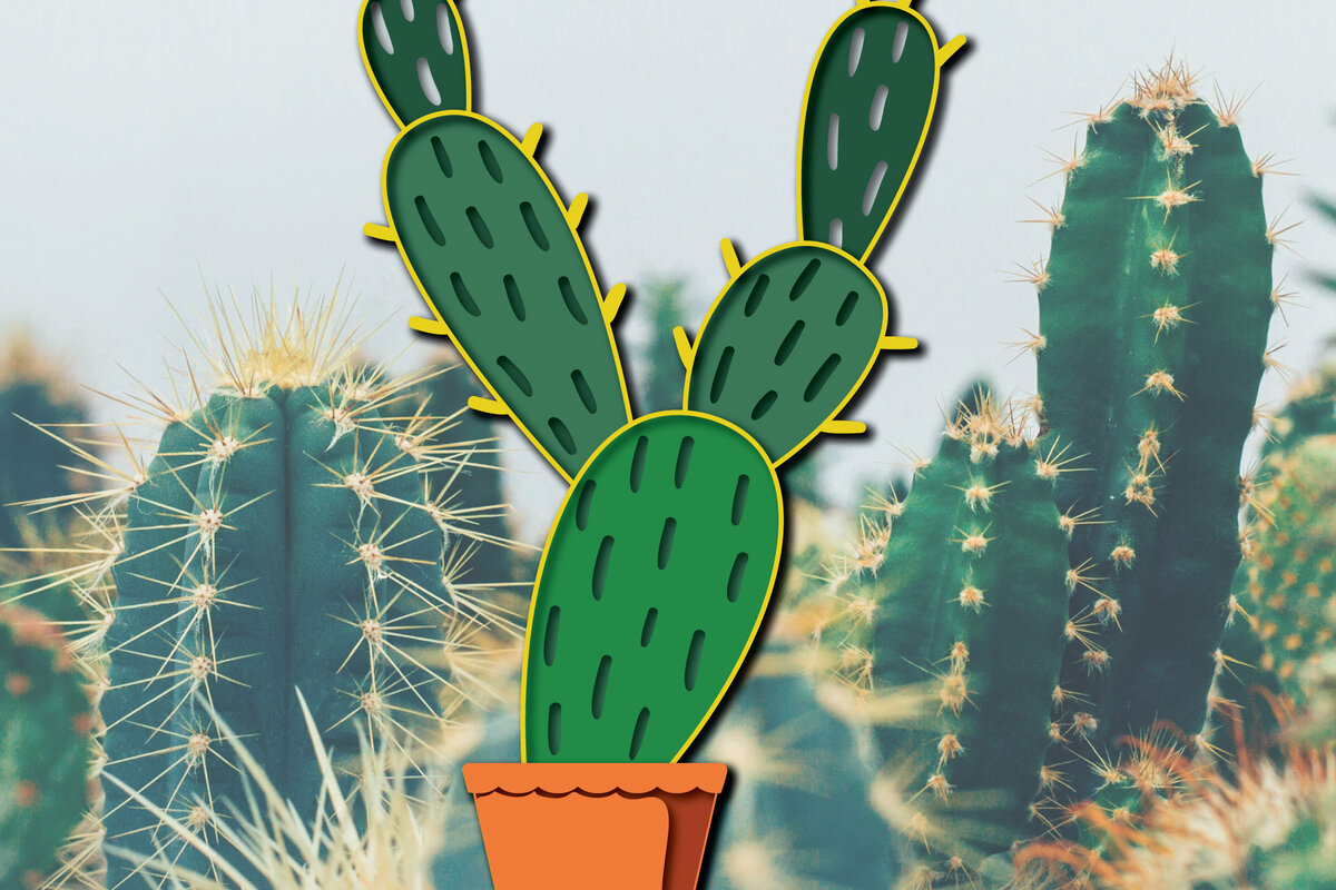 Σετ των 2 Intra απο ξύλο plywood 3mm-4mm πάχος 3d Cactus Paper Cut Δίασταση 1200x1200 cm INTRAFABR-30091951