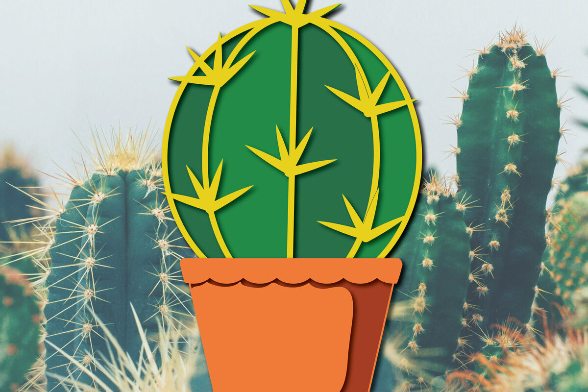 Σετ των 2 Intra απο ξύλο plywood 3mm-4mm πάχος 3d Cactus Paper Cut Δίασταση 1200x1200 cm INTRAFABR-30091962