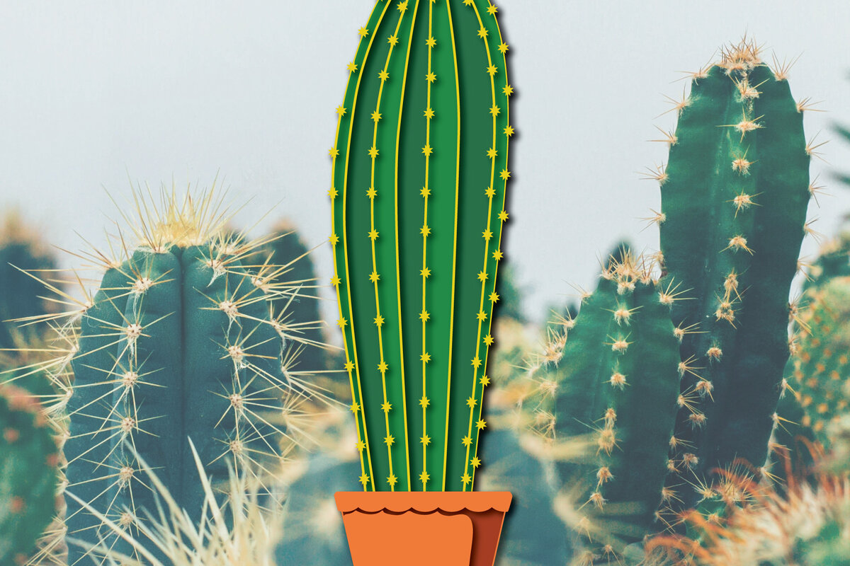 Σετ των 2 Intra απο ξύλο plywood 3mm-4mm πάχος 3d Cactus Paper Cut Δίασταση 1200x1200 cm INTRAFABR-30091968