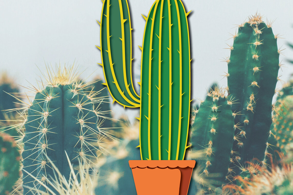 Intra απο ξύλο plywood 3mm-4mm πάχος 3d Cactus Paper Cut Δίασταση 1200x1200 cm INTRAFABR-30091938