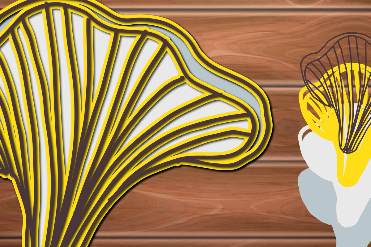 Σετ των 2 Intra απο ξύλο plywood 3mm-4mm πάχος 3D Multi Layer Mushrooms Paper Cut Δίασταση 15x15 cm INTRAFABR-17023046