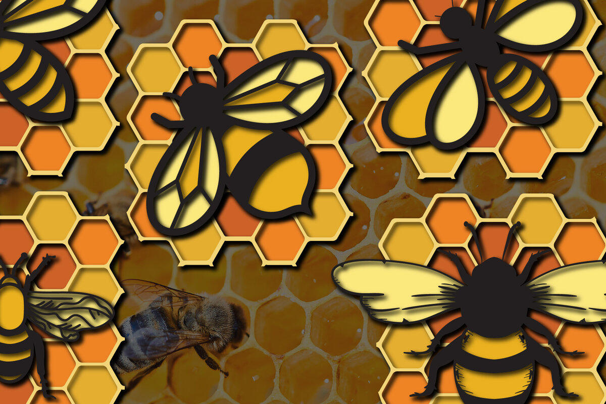 Σετ των 2 Intra απο ξύλο plywood 3mm-4mm πάχος Δέσμη 3D πολλαπλών στρώσεων Bee , Cut Δίασταση 15x15 cm INTRAFABR-25160994