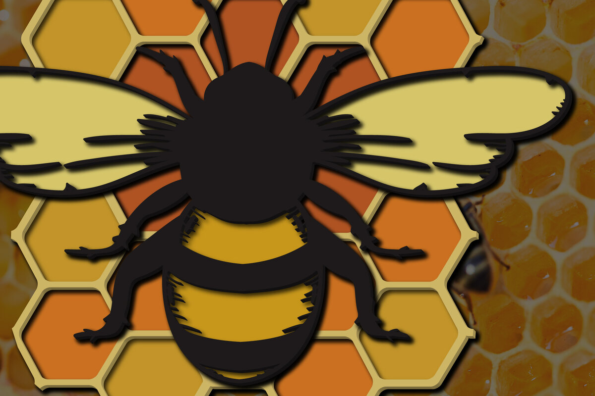 Σετ των 2 Intra απο ξύλο plywood 3mm-4mm πάχος 3d Multi-Layered Bee , Cut Δίασταση 15x15 cm INTRAFABR-25159983