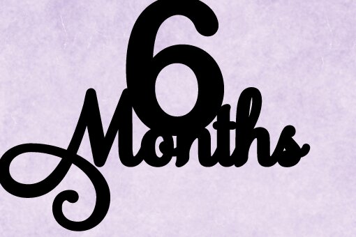 Σετ των 3 Intra απο ξύλο plywood 3mm-4mm πάχος 6 Months Cake Topper Δίασταση 4x4 cm INTRAFABR-107462610