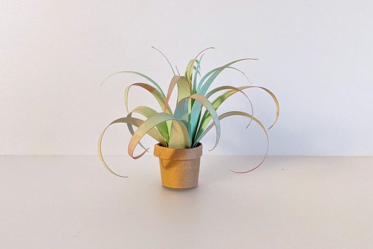 Intra απο ξύλο plywood 3mm-4mm πάχος Πρότυπο Air Plant &amp; Geometric Planter Δίασταση 30x20 cm INTRAFABR-26173443