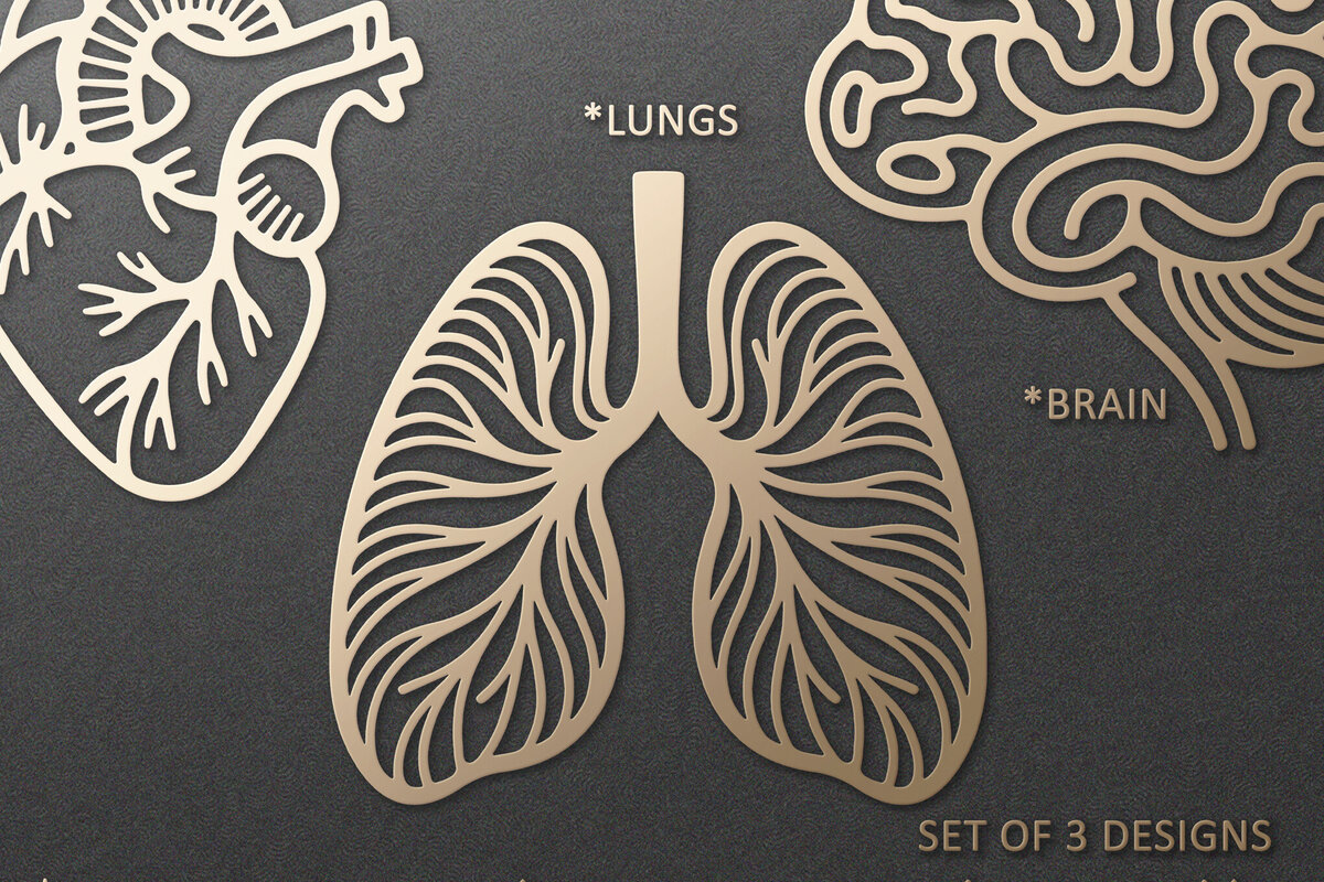 Σετ των 3 Intra απο ξύλο plywood 3mm-4mm πάχος Ανατομική καρδιάς, εγκεφάλου, πνευμόνων Δίασταση 7x7 cm INTRAFABR-121898337