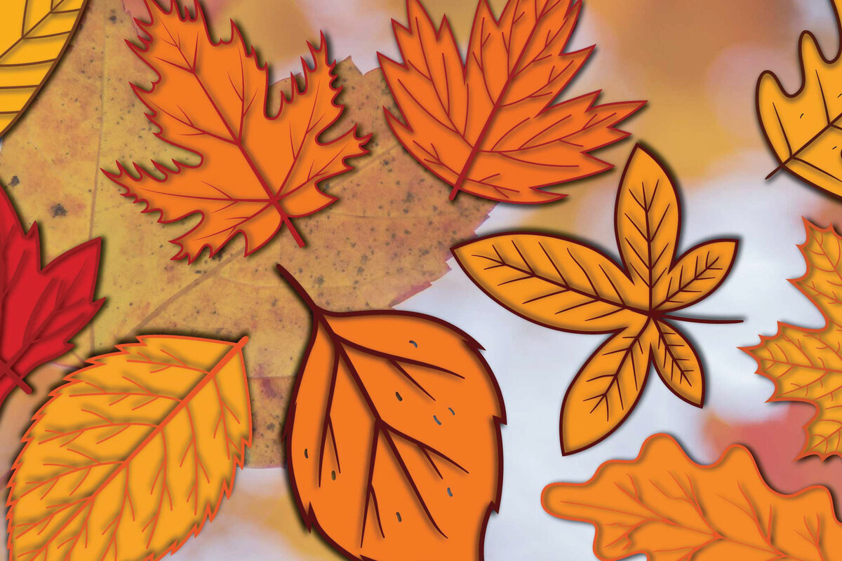 Σετ των 2 Intra απο ξύλο plywood 3mm-4mm πάχος Φθινοπωρινά φύλλα Χαρτί κοπής Δίασταση 1200x1200 cm INTRAFABR-19103826