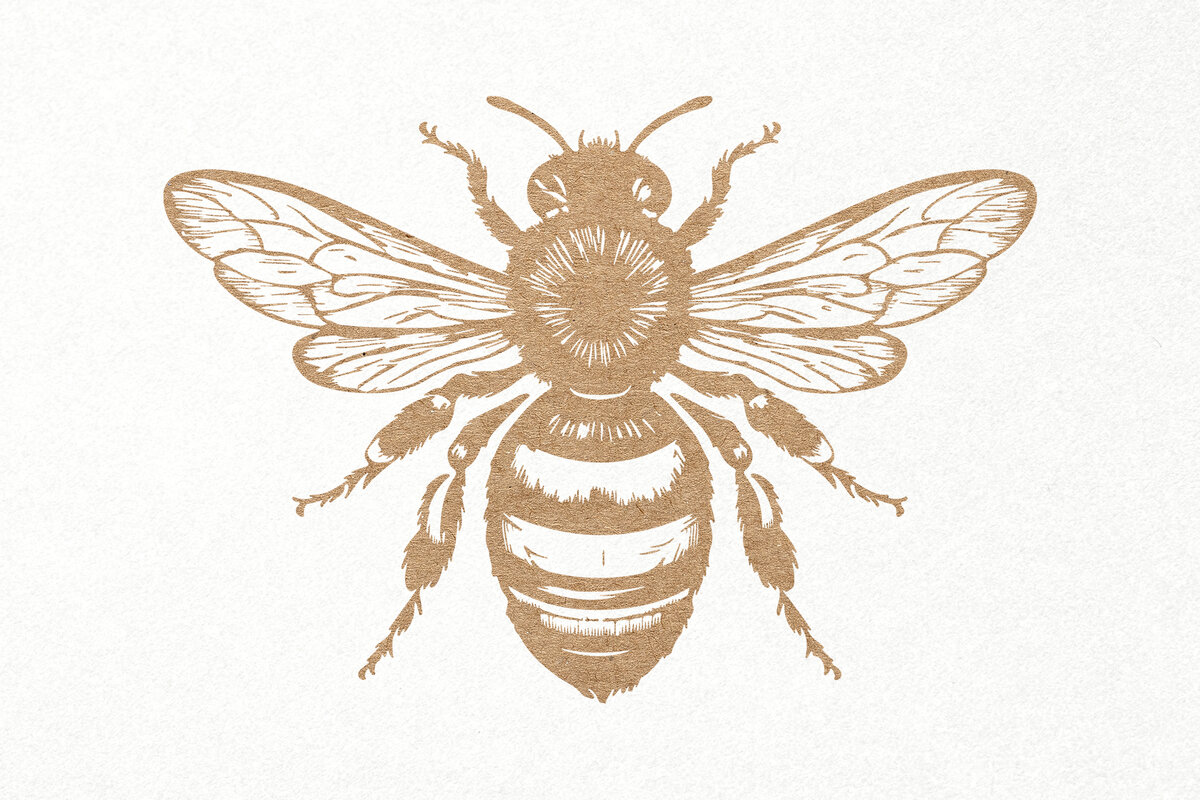 Σετ των 3 Intra απο ξύλο plywood 3mm-4mm πάχος Bee . Honey Bee . Χαρακτική μελισσών Δίασταση 7x7 cm INTRAFABR-102848039