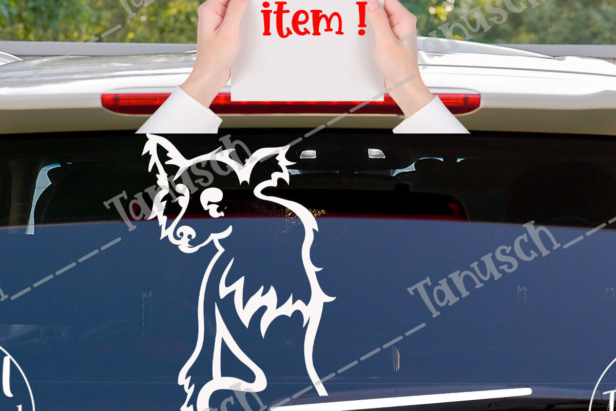 Σετ των 2 Intra απο ξύλο plywood 3mm-4mm πάχος Κινέζικο λοφιοφόρο αυτοκίνητο ουράς Δίασταση 15x15 cm INTRAFABR-68304790