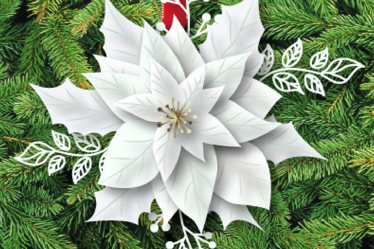 Σετ των 2 Intra απο ξύλο plywood 3mm-4mm πάχος Christmas Multilayer Poinsettia 801 Δίασταση 15x15 cm INTRAFABR-82811598