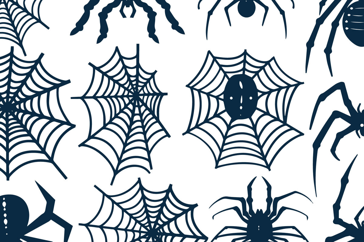 Σετ των 2 Intra απο ξύλο plywood 3mm-4mm πάχος - Πακέτο Cricut Spiderweb  Δίασταση 15x15 cm INTRAFABR-102637015