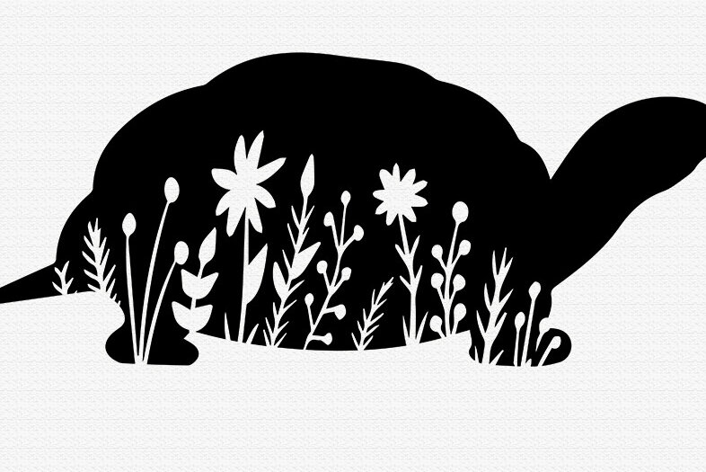 Σετ των 2 Intra απο ξύλο plywood 3mm-4mm πάχος - Floral Turtle  Χελώνα  Δίασταση 20x25 cm INTRAFABR-86180313