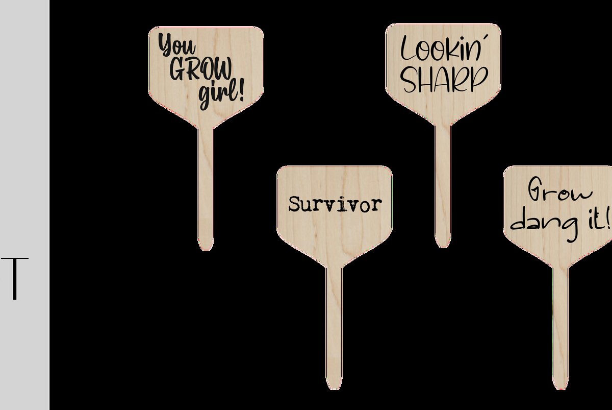 Σετ των 2 Intra απο ξύλο plywood 3mm-4mm πάχος - Funny Planter Tags Set 1 Δίασταση 20x20 cm INTRAFABR-9620452