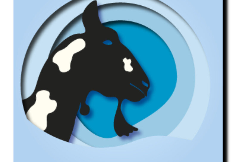 Σετ των 2 Intra απο ξύλο plywood 3mm-4mm πάχος - Κατσίκα Δίασταση 20x20 cm INTRAFABR-25412813