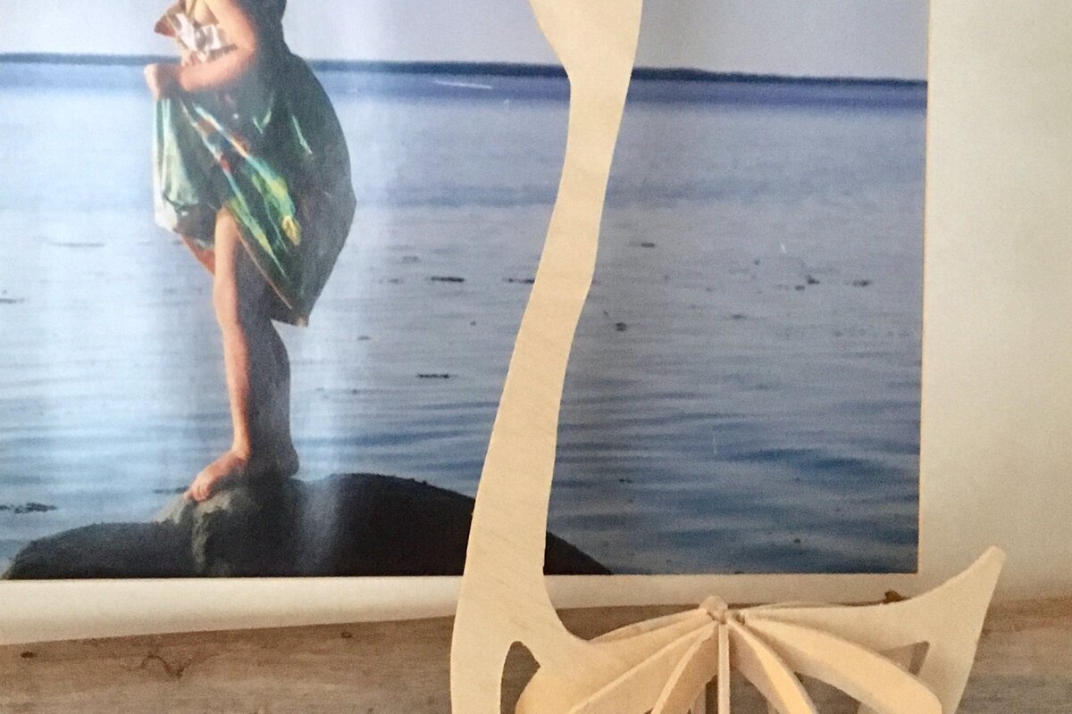 Intra απο ξύλο plywood 3mm-4mm πάχος - χήνας Δίασταση 20x20 cm INTRAFABR-36870023