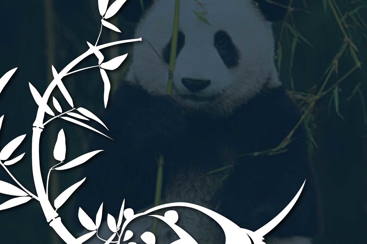 Σετ των 2 Intra απο ξύλο plywood  Χρώμα wenge 3mm-4mm πάχος - Cricut Panda με Bamboo Δίασταση 20x20 cm INTRAFABR-68886370