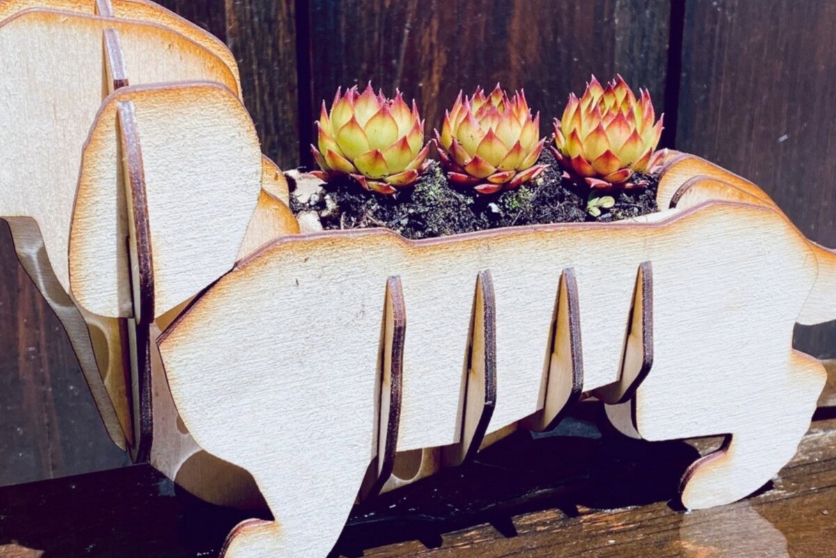 Σετ των 2 Intra απο ξύλο plywood  Χρώμα wenge 3mm-4mm πάχος - Dachshund Planter Δίασταση 15x15 cm INTRAFABR-122589785