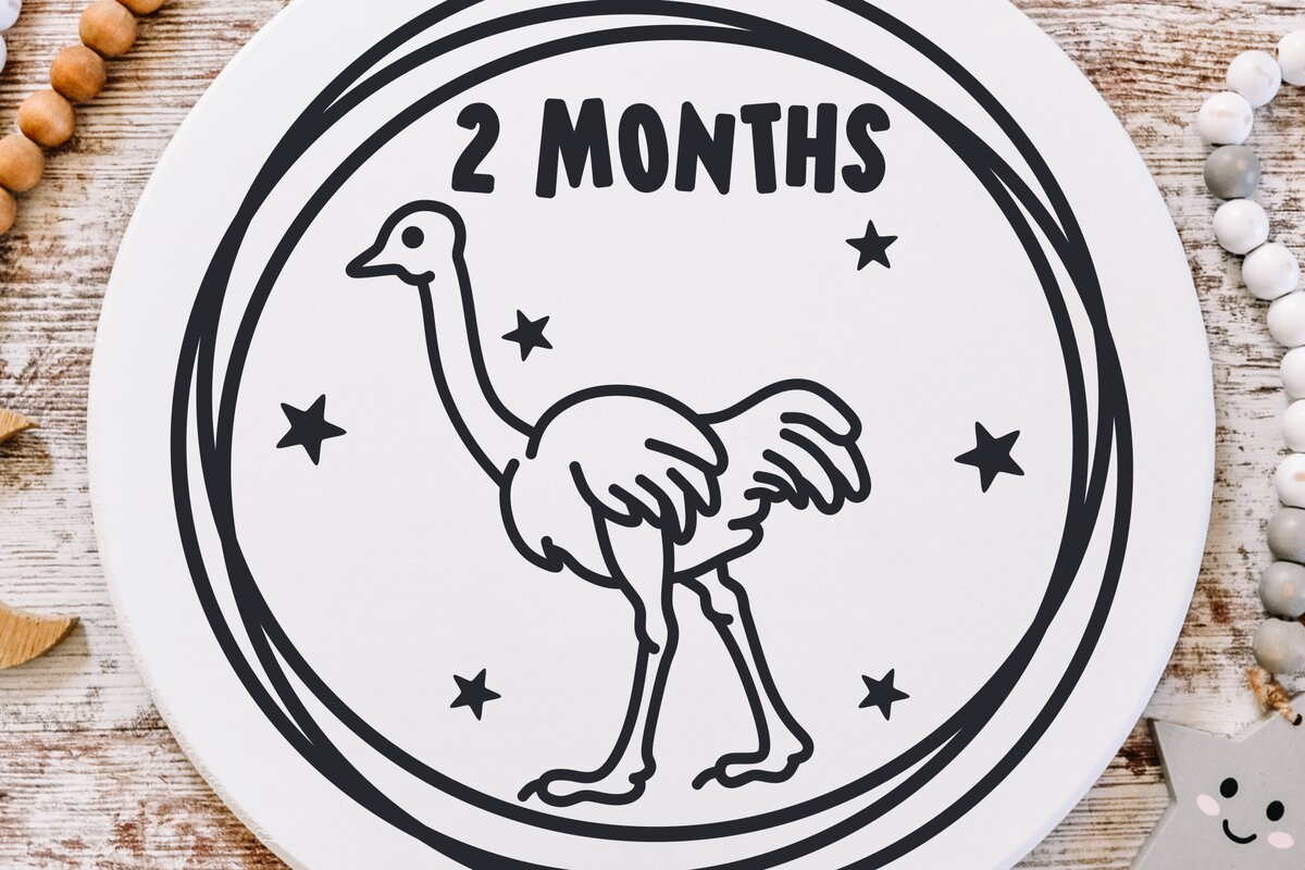 Σετ των 2 Intra απο ξύλο plywood  Χρώμα wenge 3mm-4mm πάχος - Desert Animals Baby Monthly Milestone Δίασταση 20x20 cm INTRAFABR-114061215