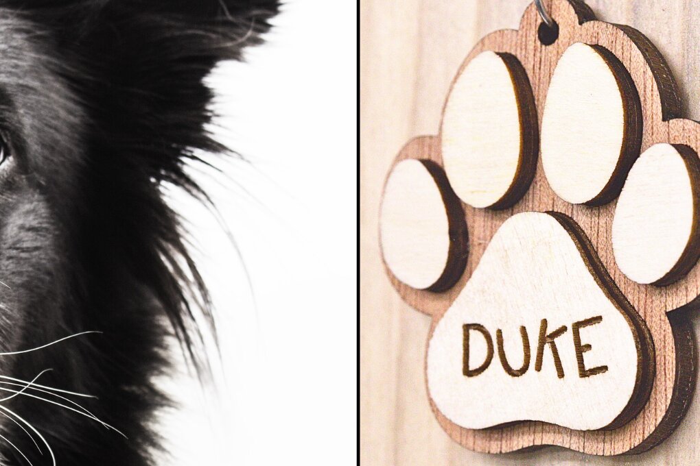 Σετ των 2 Intra απο ξύλο plywood  Χρώμα wenge 3mm-4mm πάχος - Μπρελόκ με πόδι σκύλου με πρότυπο κόλλησης Δίασταση 4x4 cm INTRAFABR-104535507