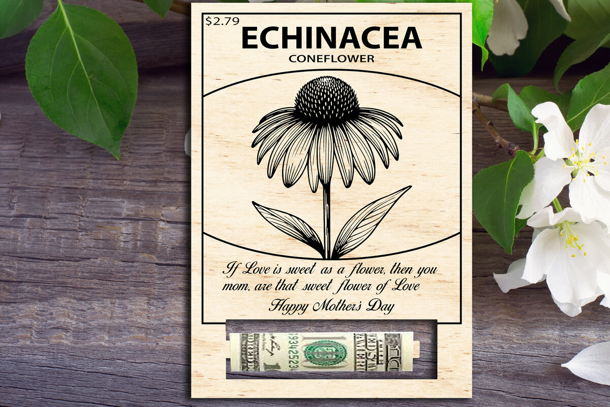 Intra απο ξύλο plywood  Χρώμα wenge 3mm-4mm πάχος - Echinacea Coneflower Χρήματα για τη γιορτή της μητέρας Δίασταση 30x20 cm INTRAFABR-72009145
