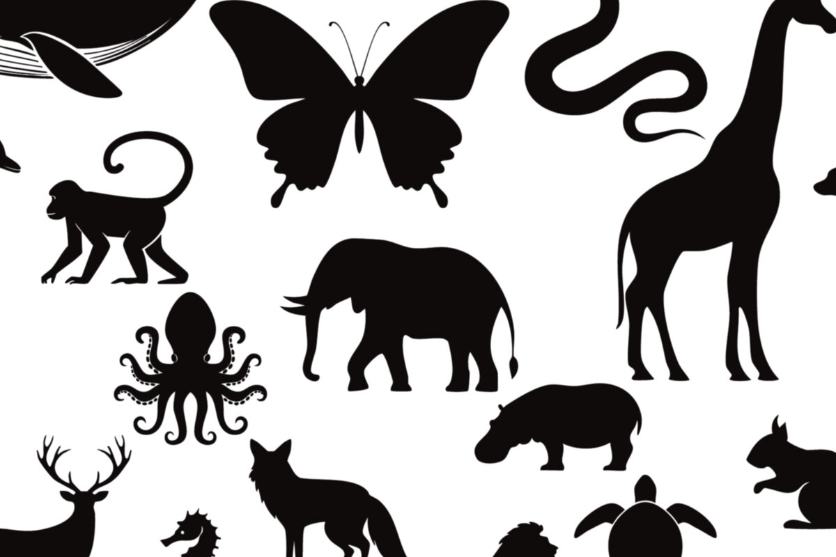 Intra απο ξύλο plywood  Χρώμα wenge 3mm-4mm πάχος - Κομψές διανυσματικές σιλουέτες των ζώων Δίασταση 30x20 cm INTRAFABR-94813868