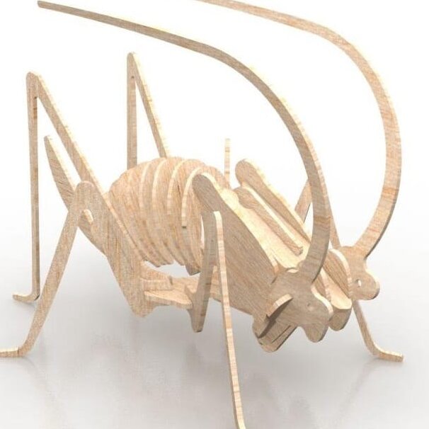 Σετ των 2 Intra απο ξύλο plywood 3mm-4mm πάχος – ξύλο μοντέλου 3D ξύλινου παζλ Grasshopper 12x15 cm INTRAVECTRY-MY555306