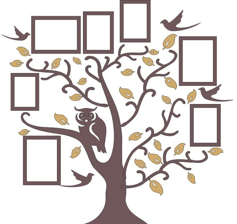 Σετ των 2 Intra απο ξύλο plywood 3mm-4mm πάχος – ξύλο οικογενειακής κορνίζας Owl On Tree Branch 15x20 cm INTRAVECTRY-MY552980