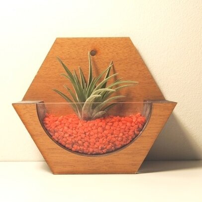Intra απο ξύλο plywood 3mm-4mm πάχος – Ξύλινο Βάζο Florarium 40x40 cm INTRAVECTRY-MY555105