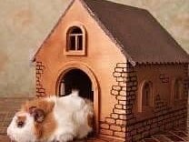 Intra απο ξύλο plywood 3mm-4mm πάχος – ξύλο Ξύλινο Τρωκτικό Σπίτι 15x20 cm INTRAVECTRY-MY556191