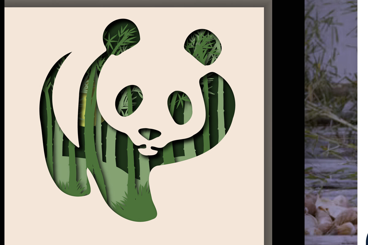 Σετ των 2 Intra απο ξύλο plywood 3mm-4mm πάχος – Panda Bamboo Forest Laser Δίασταση  20x20 cm INTRAFABR-28380201