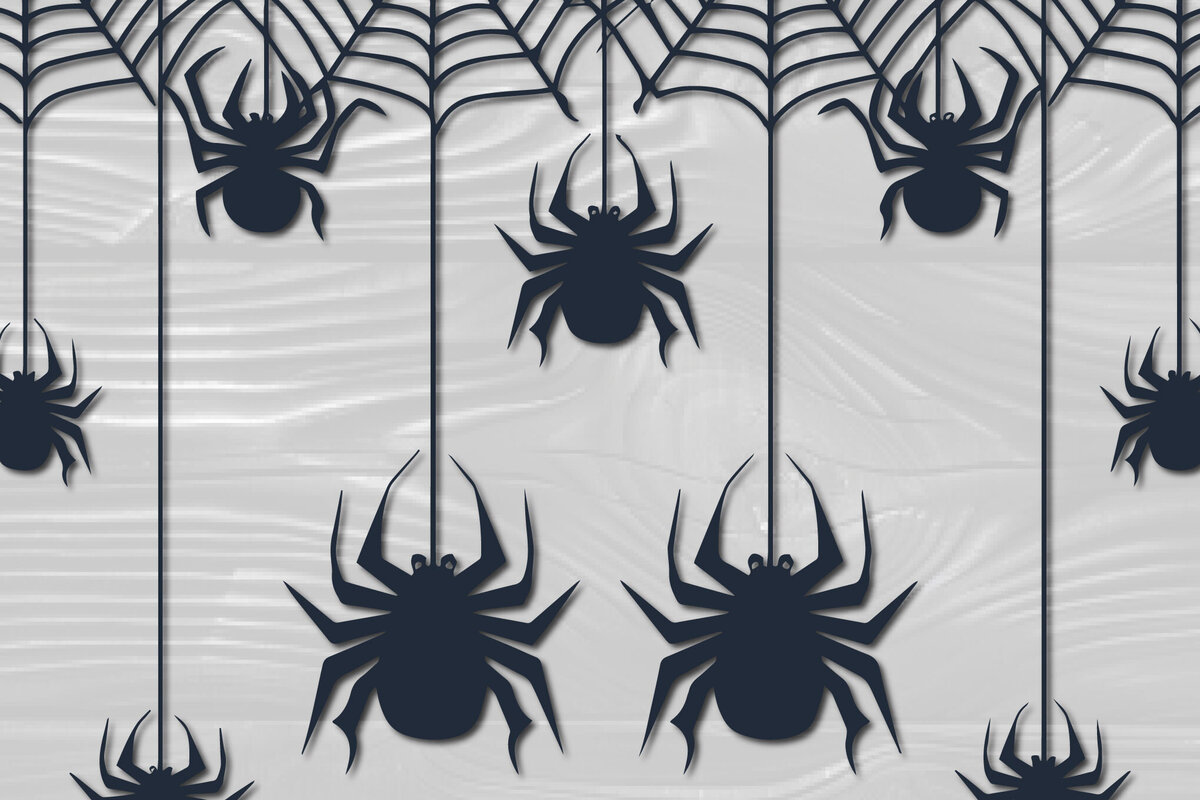 Σετ των 2 Intra απο ξύλο plywood 3mm-4mm πάχος – Papercut Hanging Spider Web Δίασταση  20x20 cm INTRAFABR-102667736