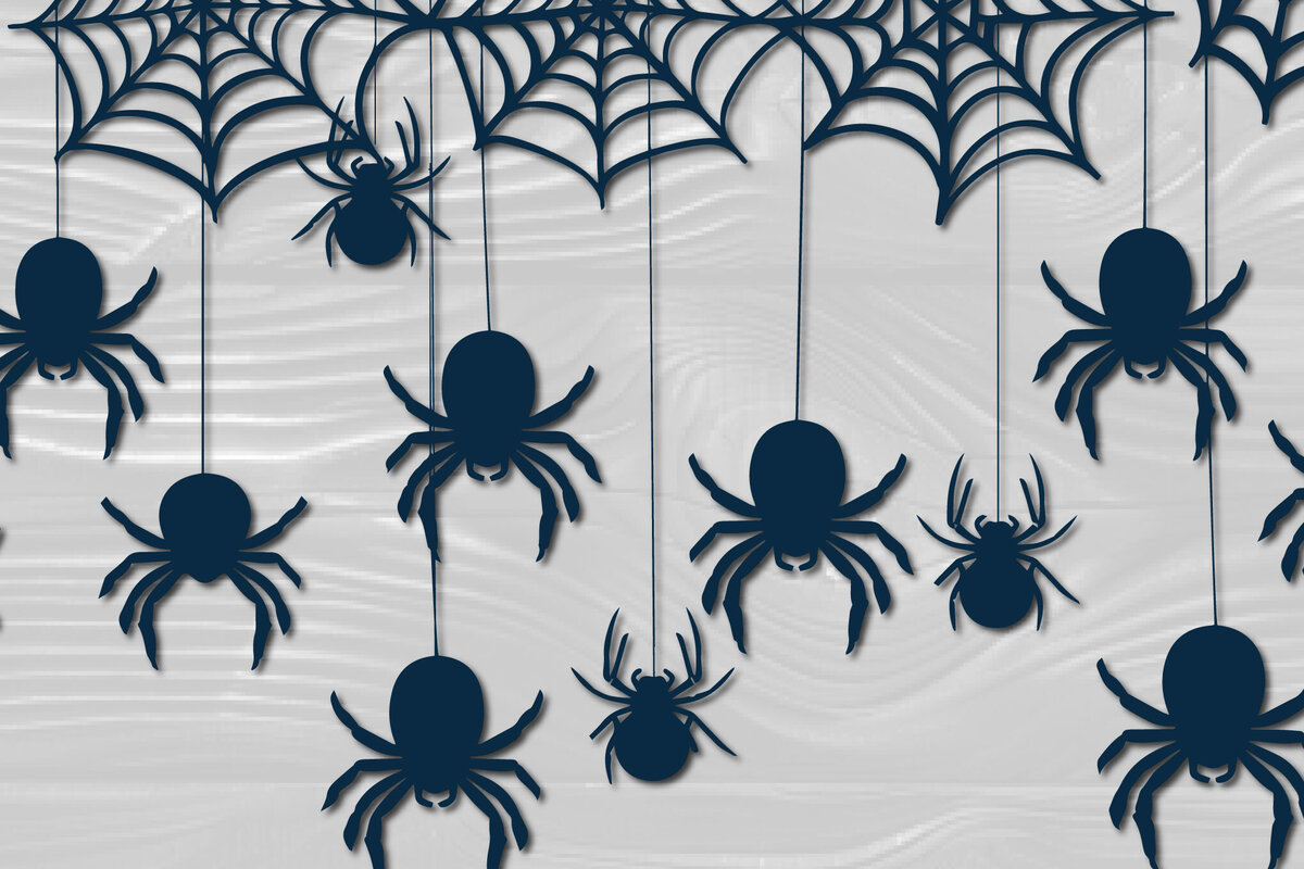 Σετ των 2 Intra απο ξύλο plywood 3mm-4mm πάχος – Papercut Hanging Spider Web Δίασταση  20x20 cm INTRAFABR-102659862