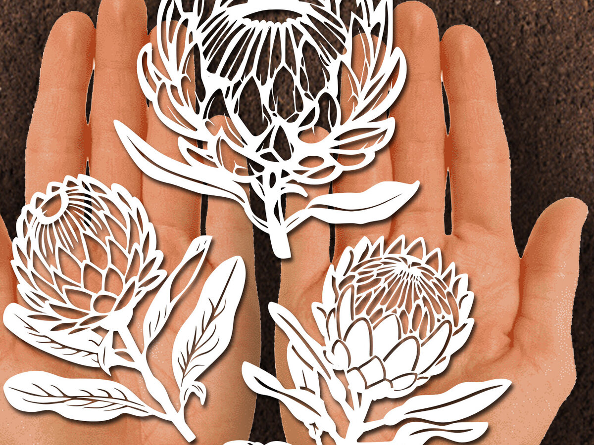 Σετ των 2 Intra απο ξύλο plywood 3mm-4mm πάχος – Χαρτόκοψη Protea Flower DXF Δίασταση  20x20 cm INTRAFABR-125441827