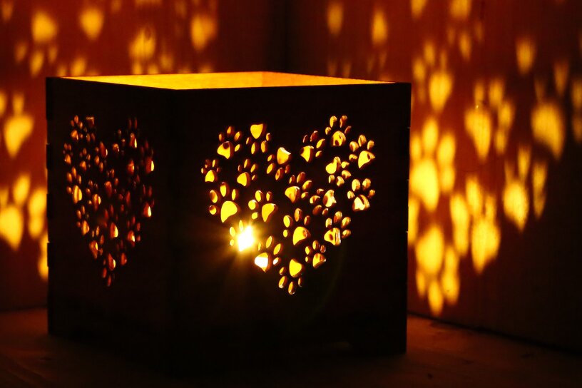 Σετ των 2 Intra απο ξύλο plywood 3mm-4mm πάχος – Κηροπήγιο Paws Heart, Φανάρι τσαγιού Δίασταση  20x20 cm INTRAFABR-108405484