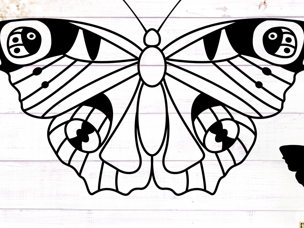 Σετ των 2 Intra απο ξύλο plywood 3mm-4mm πάχος – Peacock Butterfly Δίασταση  20x20 cm INTRAFABR-117737338