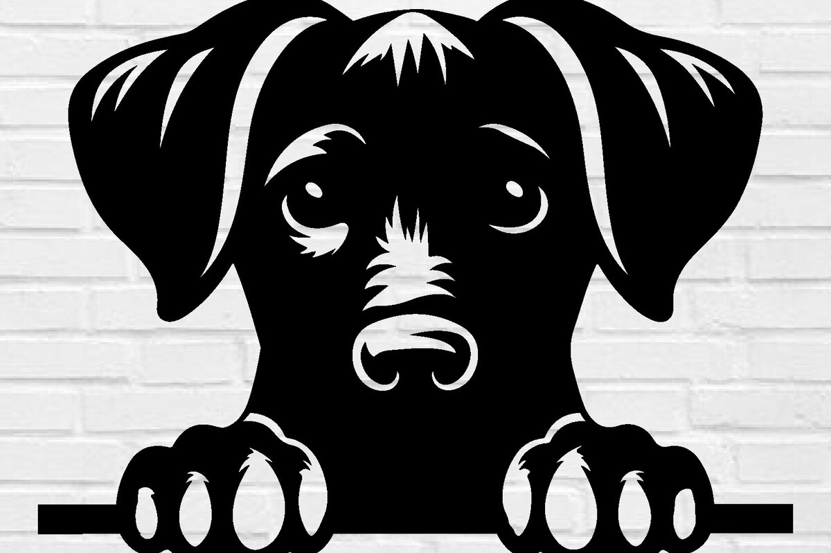 Σετ των 2 Intra απο ξύλο plywood 3mm-4mm πάχος –  κομμένου αρχείου Laser Peeking Dog Δίασταση  20x20 cm INTRAFABR-97403759