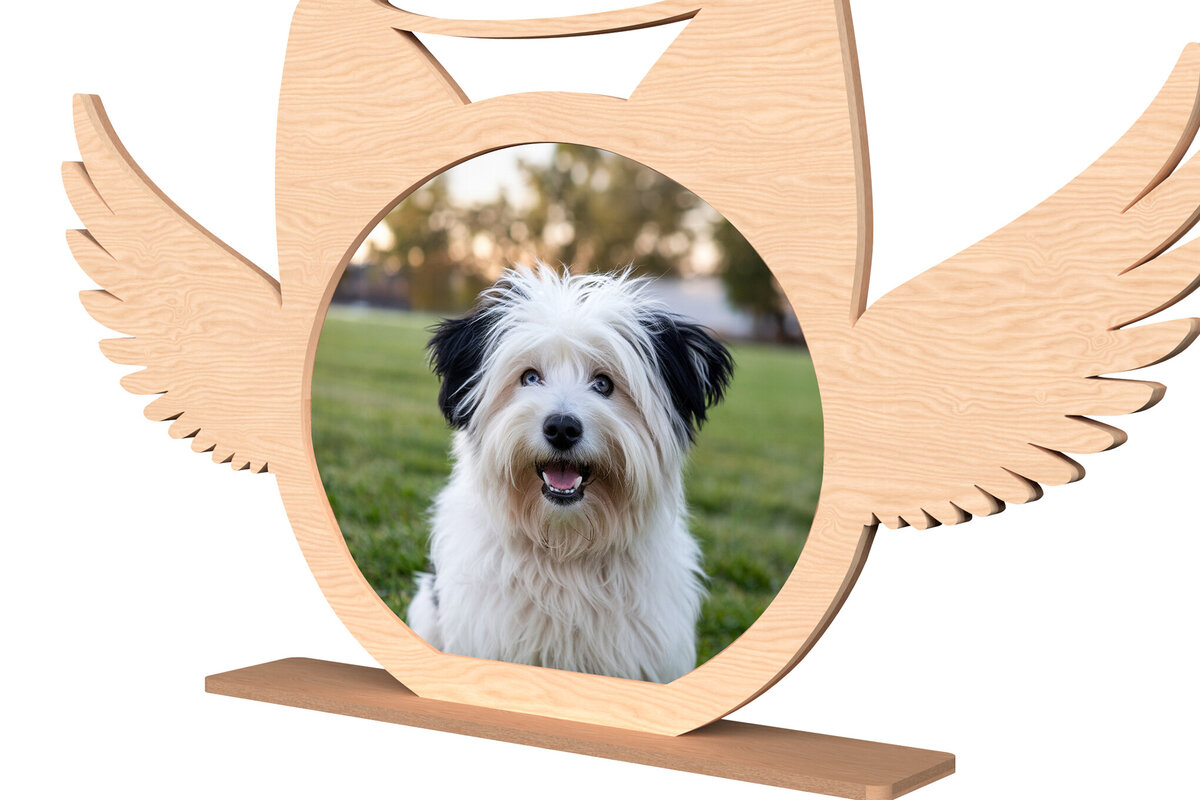 Σετ των 2 Intra απο ξύλο plywood 3mm-4mm πάχος – Κορνίζα φωτογραφιών Angel Wings Memorial Pet Δίασταση  20x20 cm INTRAFABR-110382301