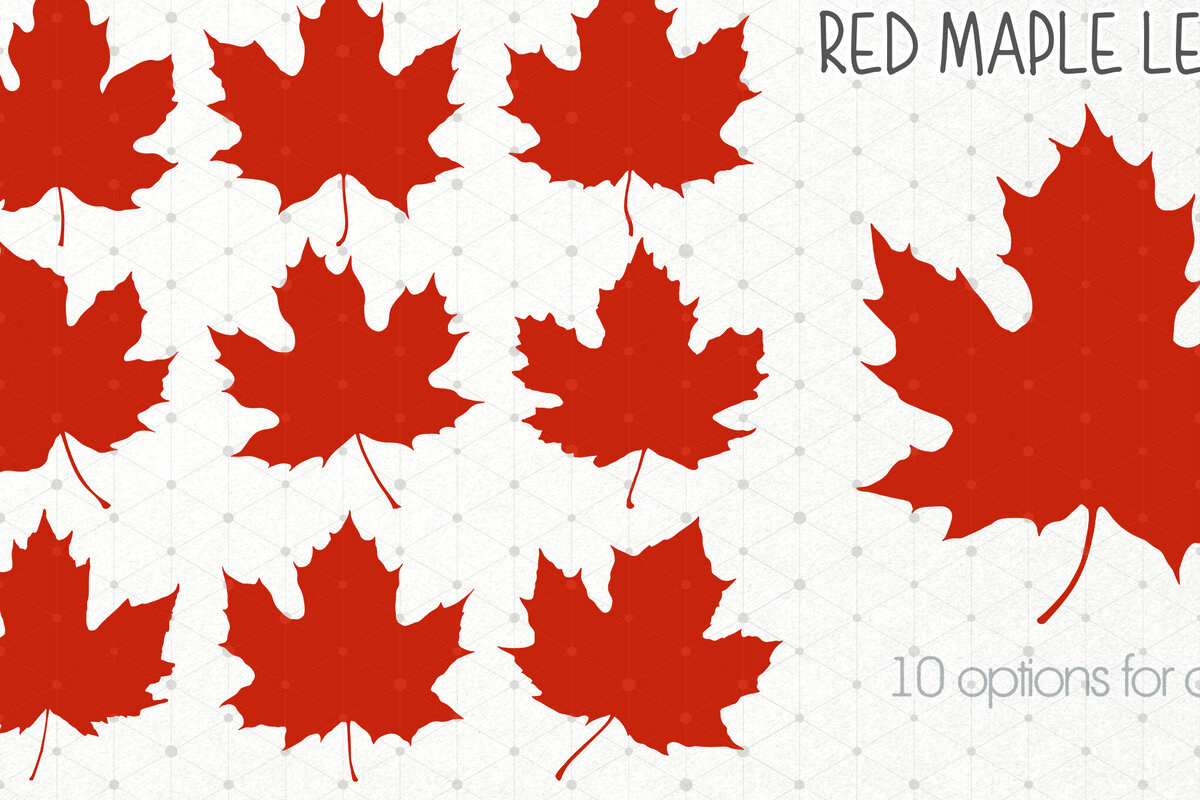 Σετ των 2 Intra απο ξύλο plywood 3mm-4mm πάχος – Red Maple Leaves, Canada Maple Leaf Δίασταση  20x20 cm INTRAFABR-104605873