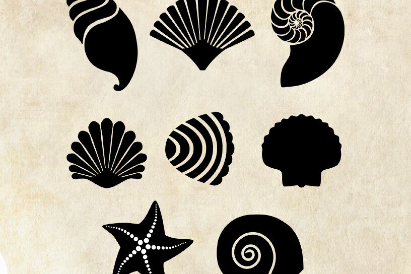 Σετ των 2 Intra απο ξύλο plywood 3mm-4mm πάχος – Κοχύλια θάλασσας Δίασταση  20x20 cm INTRAFABR-125190501