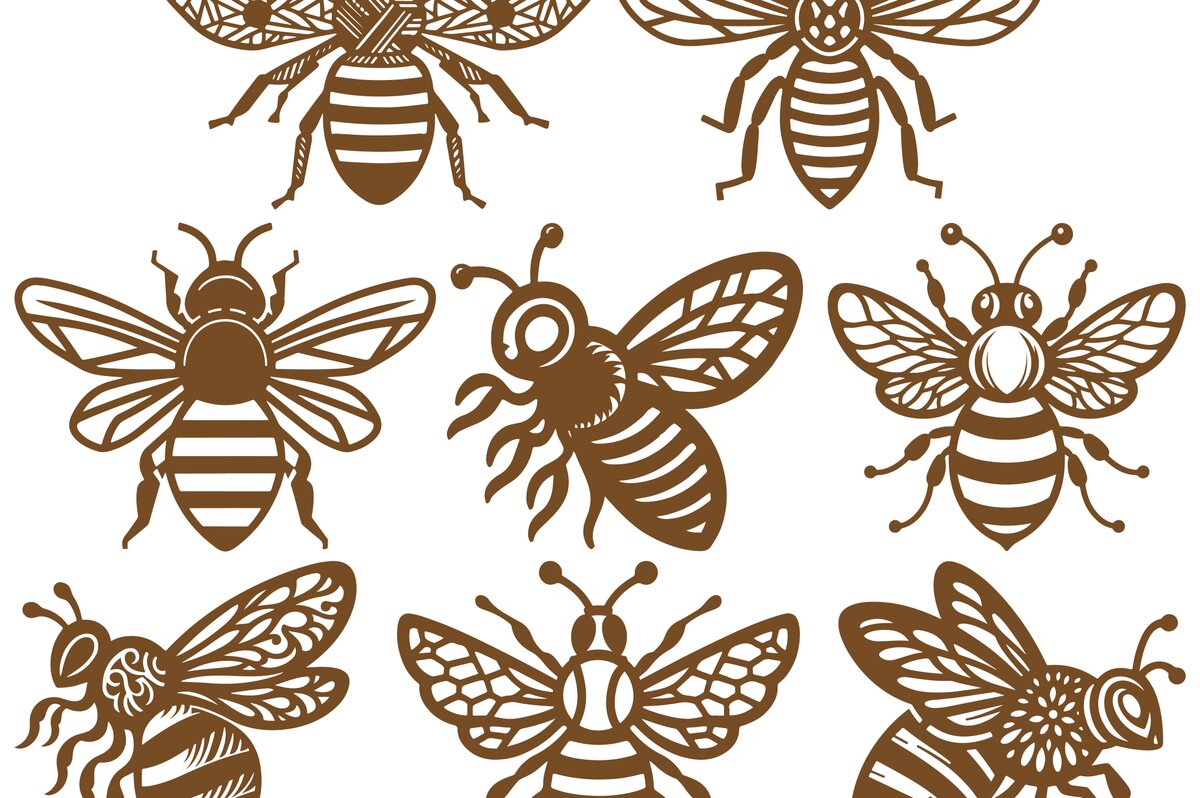 Σετ των 2 Intra απο ξύλο plywood 3mm-4mm πάχος – Σετ αρχείουWood Bee Δίασταση  20x20 cm INTRAFABR-100195225