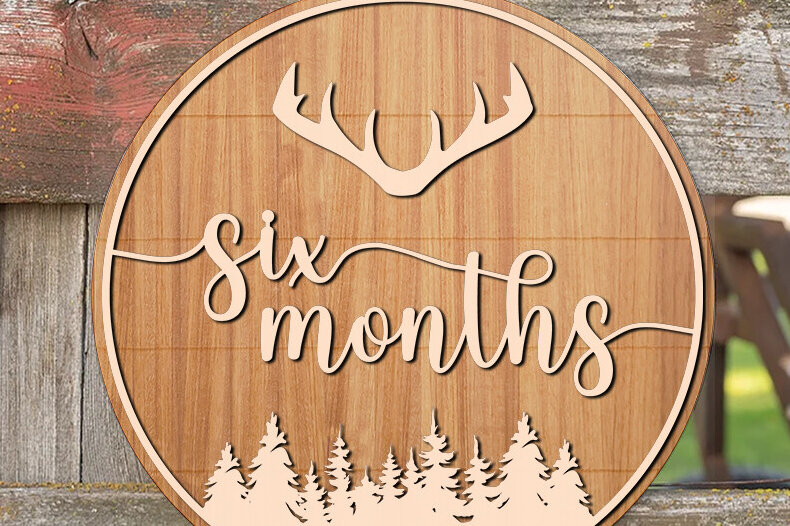 Σετ των 2 Intra απο ξύλο plywood 3mm-4mm πάχος – Στρογγυλές κάρτες έξι μηνών Δίασταση  20x20 cm INTRAFABR-78973774