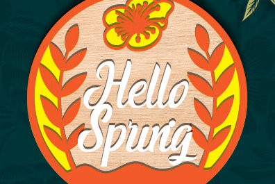 Σετ των 2 Intra απο ξύλο plywood 3mm-4mm πάχος – Ανοιξιάτικη στρογγυλή πινακίδα Κρεμάστρα πόρτας με λέιζερ Δίασταση  20x20 cm INTRAFABR-95725633