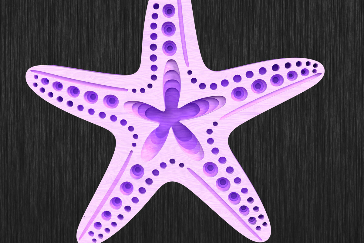 Σετ των 2 Intra απο ξύλο plywood 3mm-4mm πάχος – Αστερίας 3D Layered Δίασταση  20x20 cm INTRAFABR-119659621