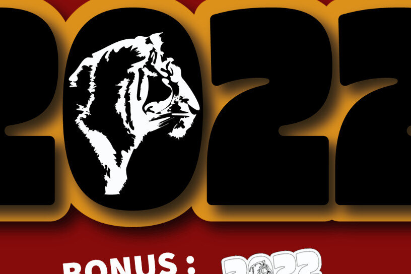 Σετ των 2 Intra απο ξύλο plywood 3mm-4mm πάχος – Τίγρη Δίασταση  20x20 cm INTRAFABR-18367729