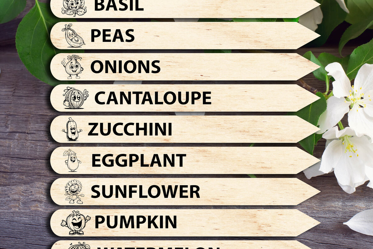 Σετ των 2 Intra απο ξύλο plywood 3mm-4mm πάχος – Πασσάλες φυτών λαχανικών Δίασταση  20x20 cm INTRAFABR-95555040