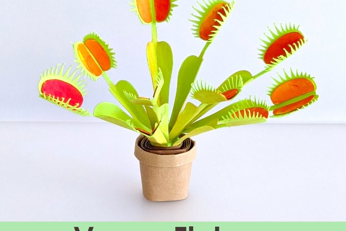 Σετ των 2 Intra απο ξύλο plywood 3mm-4mm πάχος – Αρχεία αποκοπής προτύπου Venus Flytrap Δίασταση  20x20 cm INTRAFABR-26016400