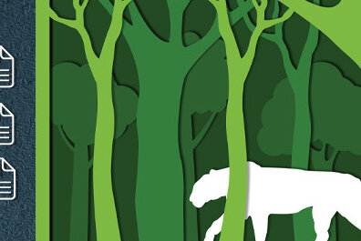 Σετ των 2 Intra απο ξύλο plywood 3mm-4mm πάχος – Κοπή με λέιζερ Wildlife Shadow Box Δίασταση  20x20 cm INTRAFABR-60649507